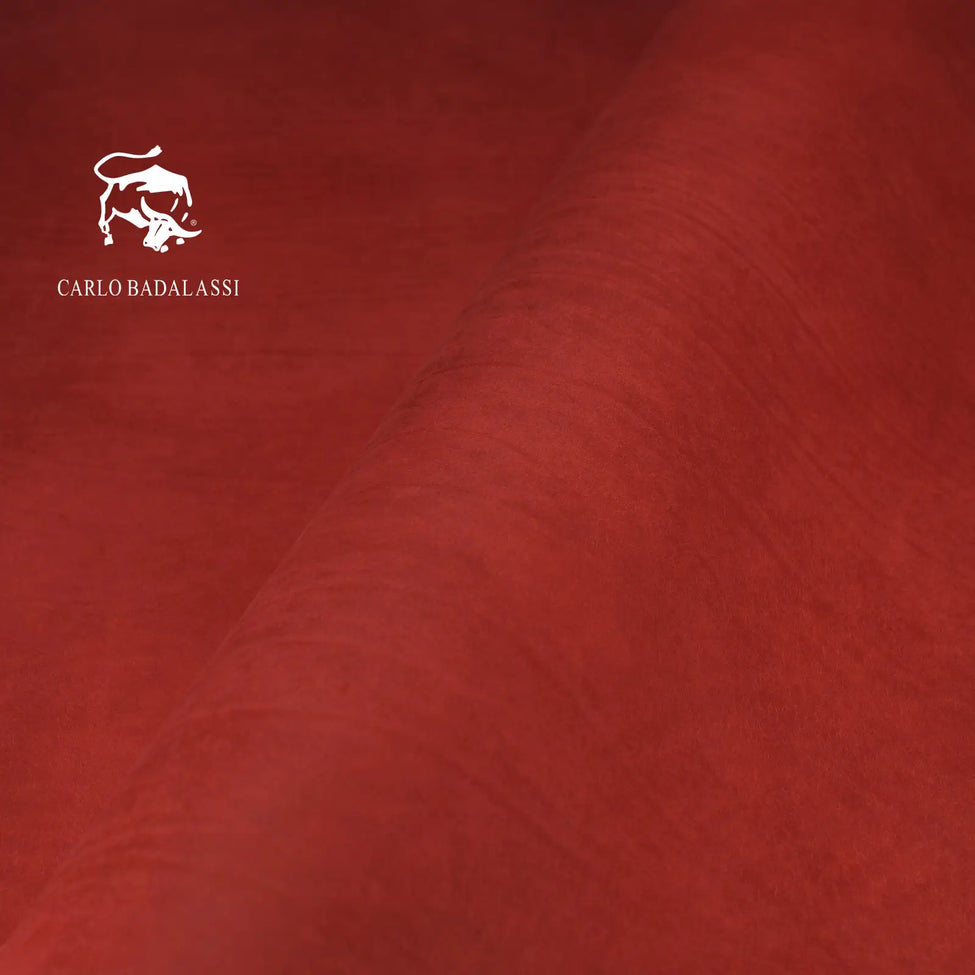 Badalassi Carlo Pueblo - Paravero