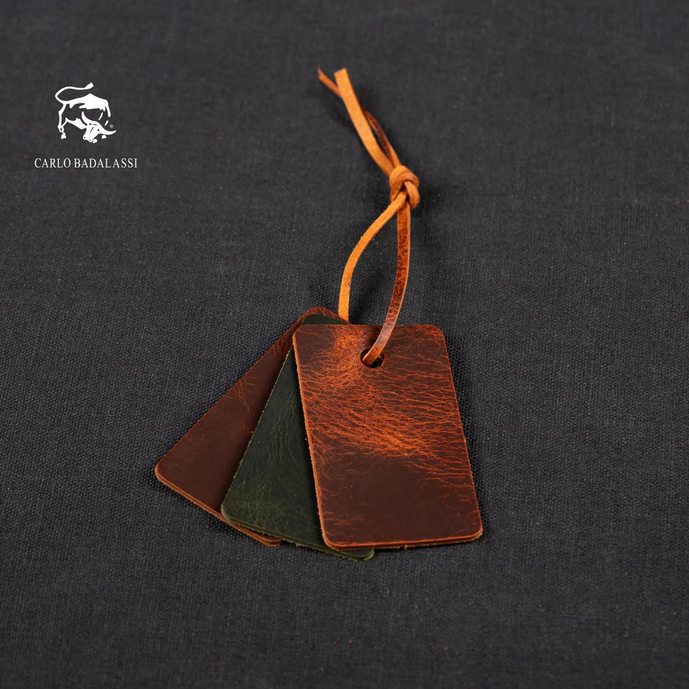 Badalassi Carlo Wax - Color card